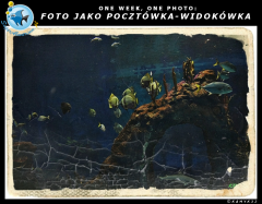 2015 10 01 "FOTO JAKO POCZTÓWKA-WIDOKÓWKA"