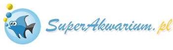 Forum akwarystyczne - Super Akwarium